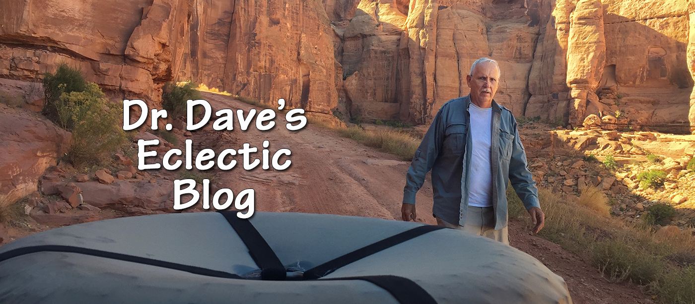 Dr. Dave's Eclectic Blog