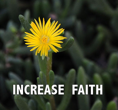 Increase faith - Positive Thinking Network - Positive Thinking Doctor - David J. Abbott M.D.