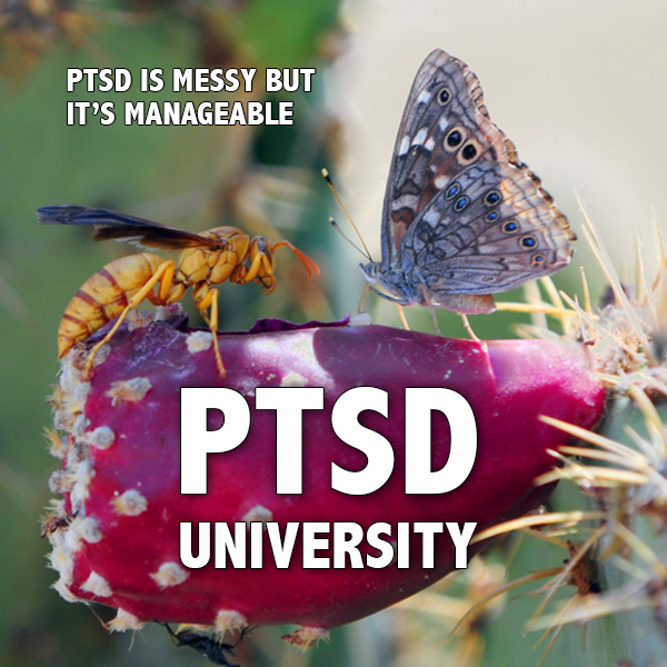 PTSD University - PTSD is messy but it's manageable - Positive Thinking Doctor - David J. Abbott M.D.